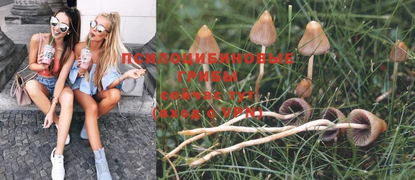ешки Абаза
