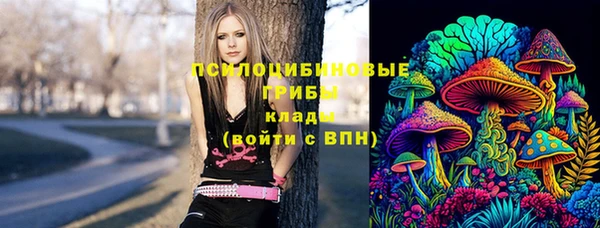 ешки Абаза
