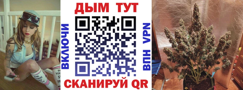 darknet состав  Елизаветинская  Бошки Шишки конопля  купить наркоту 